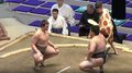 36年ぶり“英国出身力士”が「大化けしそう」 強敵に電光石火の秒殺劇「風格ある」「男前」爽やかなイケメンぶりにも熱視線