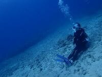 西野七瀬、ハワイの海でダイビングを楽しむ姿に「潜水のナナや」の声届く