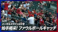 【映像】エンゼルスファンの少年 拍手喝采! ファウルボールキャッチ