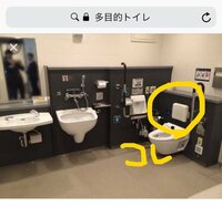 猪狩ともか『トイレの背もたれ激しく求む！！』