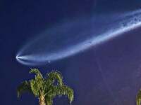 平子理沙『何だこれは⁉️』