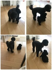 小川菜摘『笑顔で!』