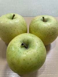 サンドウィッチマン伊達『サンドウィッチマン…崩壊』