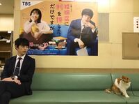 坂口健太郎と猫のシュールな“にらめっこショット”に「この距離感最高にキュン」「どっちも可愛い〜」とファン笑顔