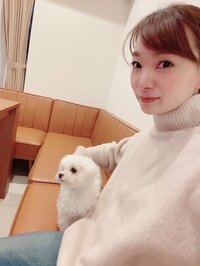 保田圭『新しいソファー』