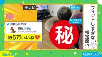 【映像】「座るとこちゃうぞ」足の甲に“ちょこん”と座る1歳児