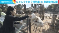 【映像】生まれたばかりのアビシニアコロブスの赤ちゃん