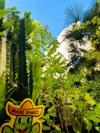 川崎麻世『数年ぶりに声が楽になって来た』