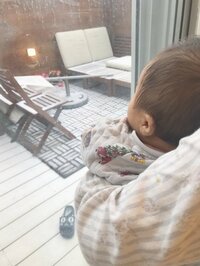 杉浦太陽『コアの初雪』