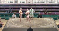 【映像】19歳巨体力士が見せた「大恐縮」の仕草