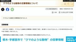 栃木・宇都宮市で「クマのような動物」の目撃情報 痕跡はなし 市が注意呼びかけ