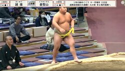 “キリリ眉”がすごい 20歳の“美肌”力士「綺麗な顔立ち」「体パンパン」ファン熱視線