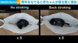 背中をなでると赤ちゃんが落ち着く理由