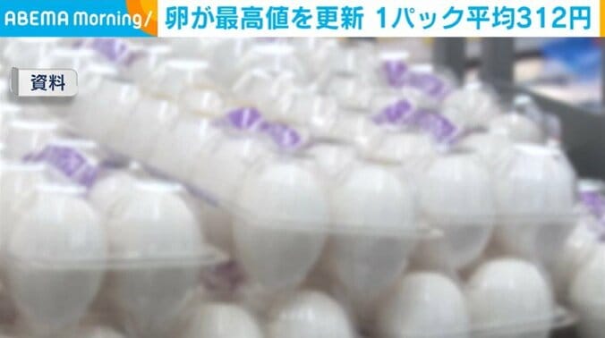 卵（資料）