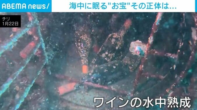 籠から出てきたワインボトル