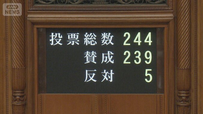 SNS対策の公選法など改正案が成立　罰則盛り込まれず実効性に疑問の声 1枚目