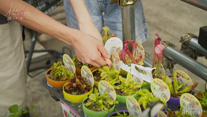 竹内唯人のモテパワーが炸裂！抜群のコミュ力で女子2人を翻弄『オオカミちゃん』第2話 5枚目