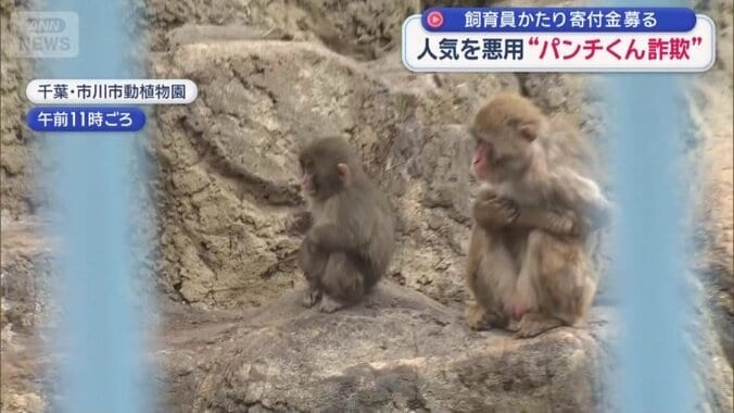 ぬいぐるみを手放している姿も