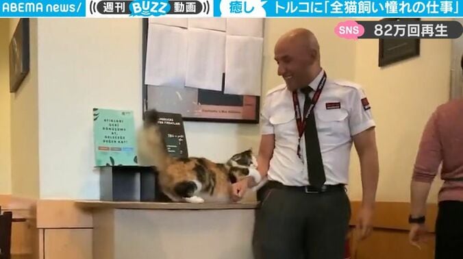 「全猫飼い憧れの仕事」 カフェで見かけた猫と警備員さんの攻防戦が可愛すぎると話題に！ 幸せそうな様子に「今すぐ転職したい」「良きお仕事」 1枚目