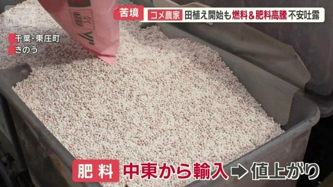 田植えに使う肥料も中東から輸入のため値上がり