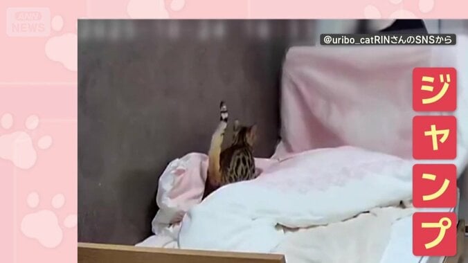 布団にジャンプ！