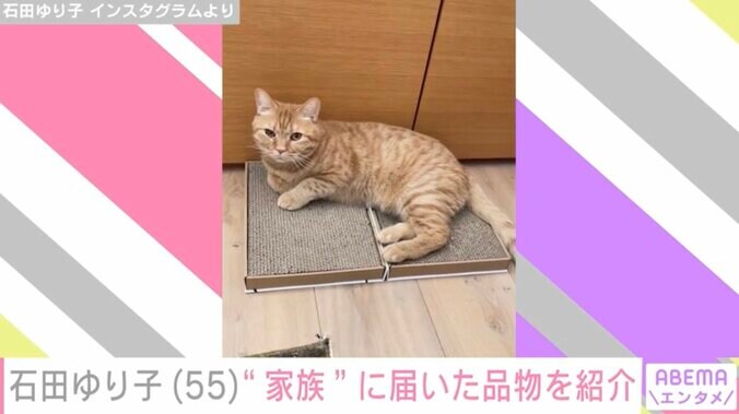【写真・画像】生活感あふれる自宅が話題・石田ゆり子(55)“家族”に届いた品物を紹介　2枚目