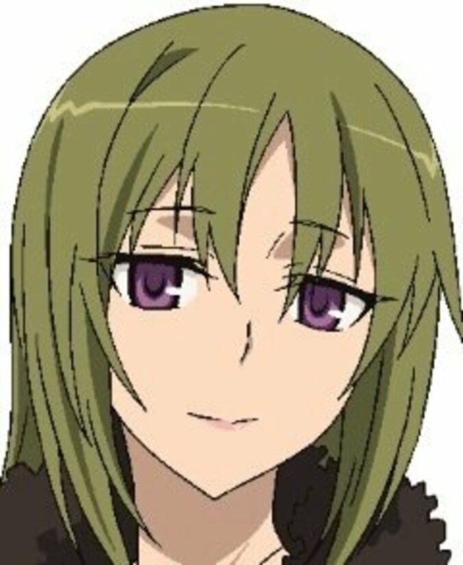 TVアニメ「Fate/Apocrypha」物語を彩る追加キャストを発表　最新PVも公開 9枚目