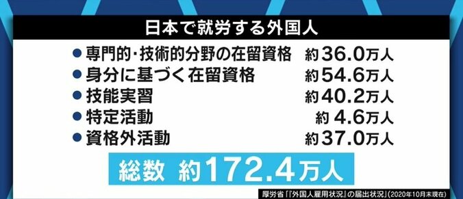 日本の外国人制度の根底に“長く定着して欲しくない”という考え方が? 見送られた入管法改正案から考える 7枚目