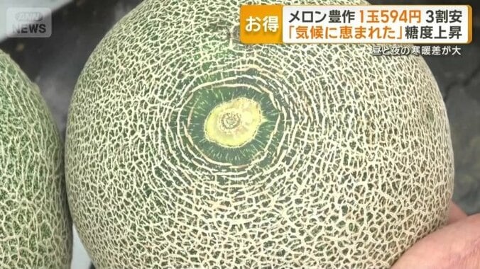 網目が細かく中心に向かって放射状に線