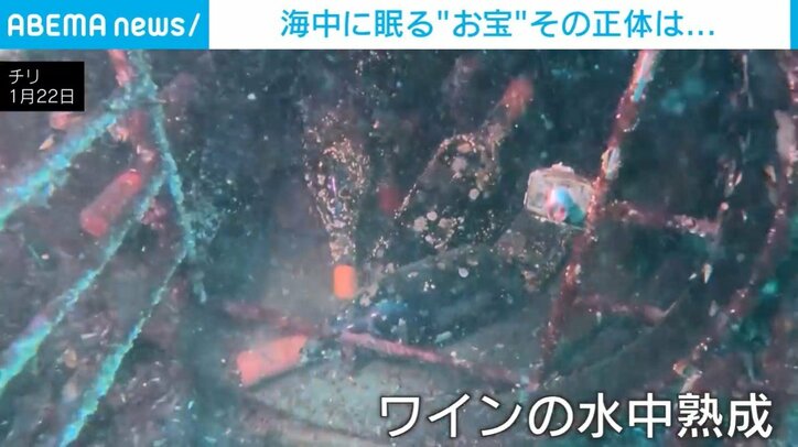 籠から出てきたワインボトル