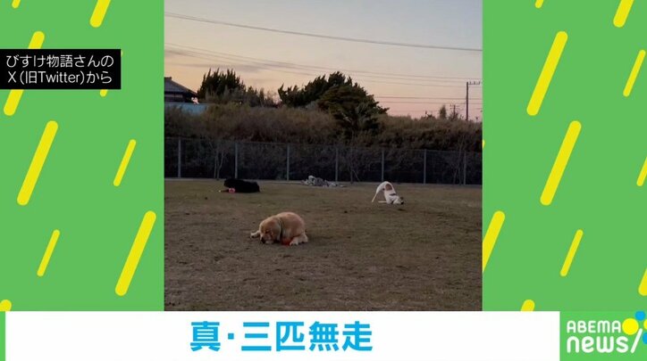 【写真・画像】 2枚目