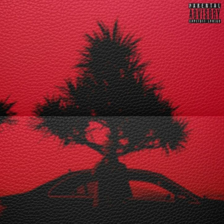 【写真・画像】　2枚目