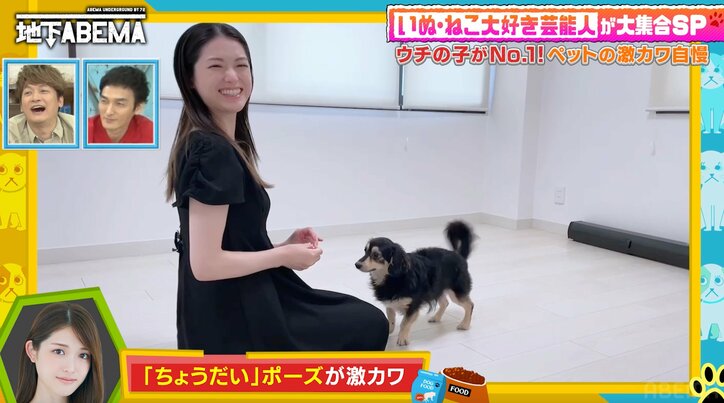 【写真・画像】怒られたら寝たフリ？村上佳菜子の愛犬の絶妙な表情が可愛いと話題に「完全にトーンで“怒ってる”というのをわかってる」　2枚目