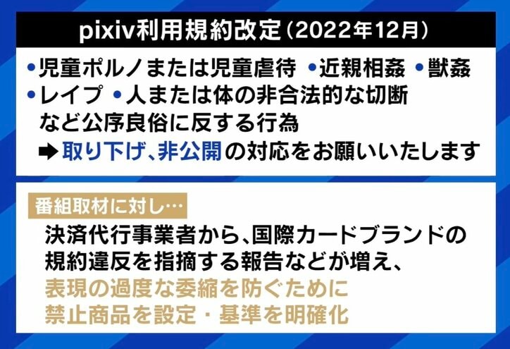 【写真・画像】クレカ会社が“エロ規制”？ 創作現場から悲痛な声  紗倉まな「パッケージと中身との乖離が起きている」 山田参院議員「自ら表現を抑えた結果、息の根を止めることになる」 　3枚目