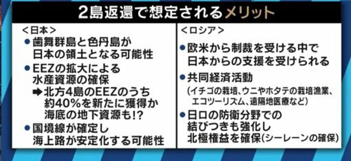 「安倍総理とプーチン大統領の勇気・決意・覚悟を感じた。２島返還しかない」鈴木宗男が語る日ロ交渉の歴史と北方領土問題