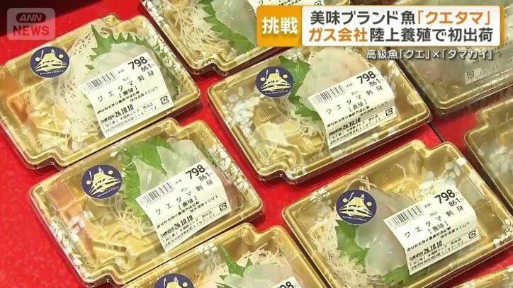リーズナブルな価格で提供