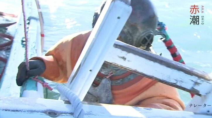 北海道の最高級ブランド「昆布森のウニ」が赤潮で窮地に…“ウニ一筋50年”の漁師の嘆き