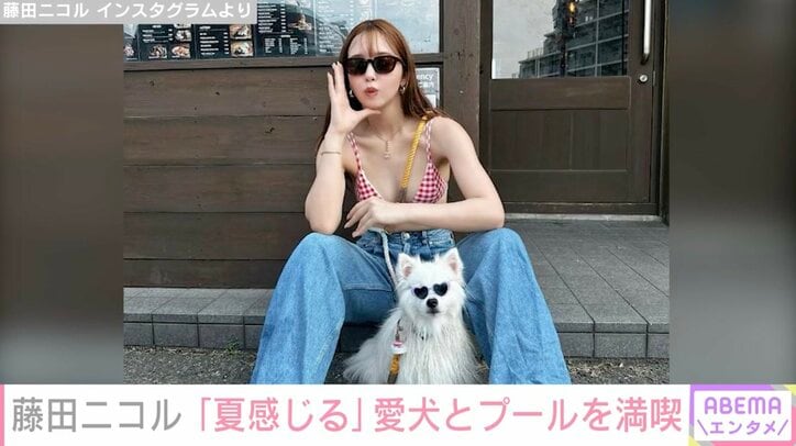 藤田ニコル、ビキニ姿で愛犬とプールを満喫「スタイル良くて羨ましい」ファンから絶賛の声