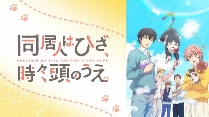 同居人はひざ 時々 頭のうえ 公式twitter 海外ファンからの 猫のハル 人気に喜び ニュース Abema Times