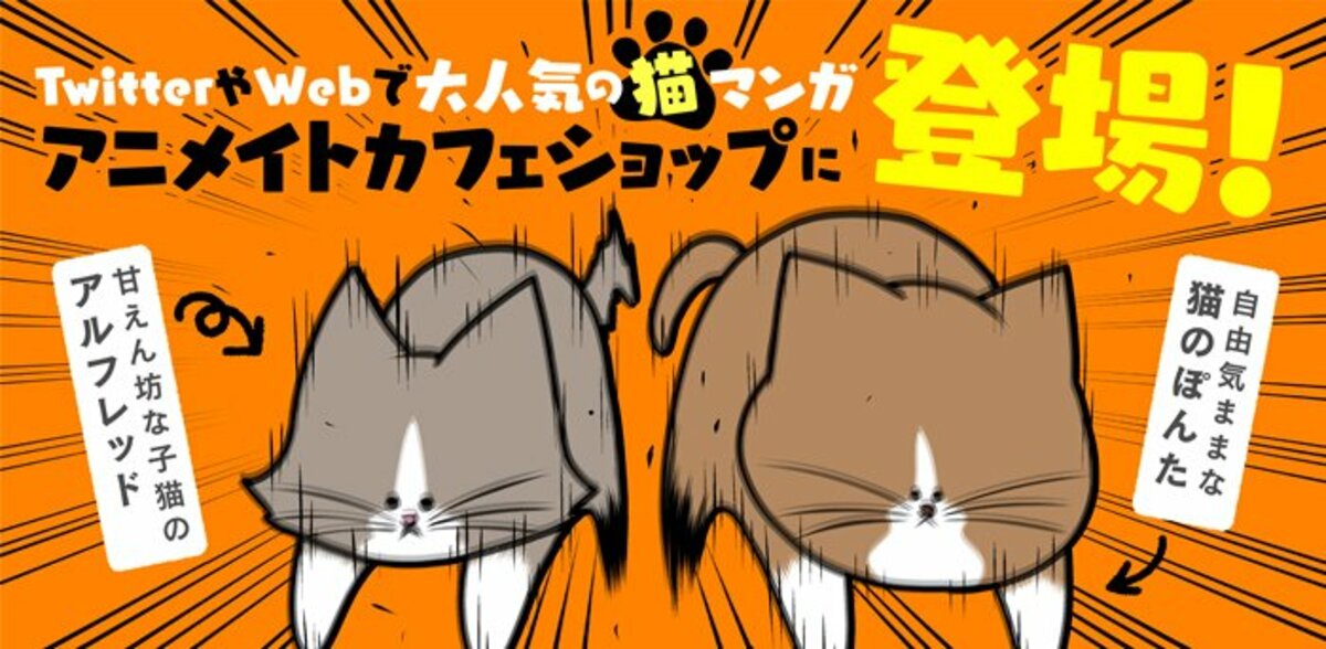 大人気猫マンガ 鴻池剛と猫のぽんた ニャアアアン のコラボカフェが新宿と京都で開催決定 ニュース Abema Times