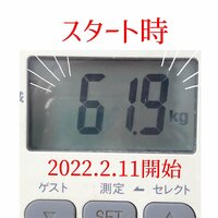 平野ノラ『ダ28』