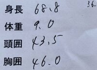 江原千鶴『とわくん7ヶ月健診の結果』