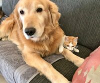 坂上忍『名コンビ』