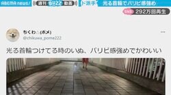 レインボーに光る“パリピ感強め”の犬 イケイケな姿に「フロアを沸かせそう！」と反響