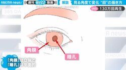 見る角度で形が変化する“目の描き方”が「ほんと参考になる」と話題 「瞳孔が奥まるのも見逃せない」と感激の130万回再生