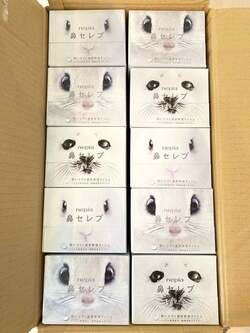  大堀恵、家族全員が花粉症のため購入した品を公開「娘とパパにも開いてもらおう」 