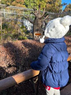  上原さくら、今月5回出ている症状を告白「出先で痛くなることが多かった」 