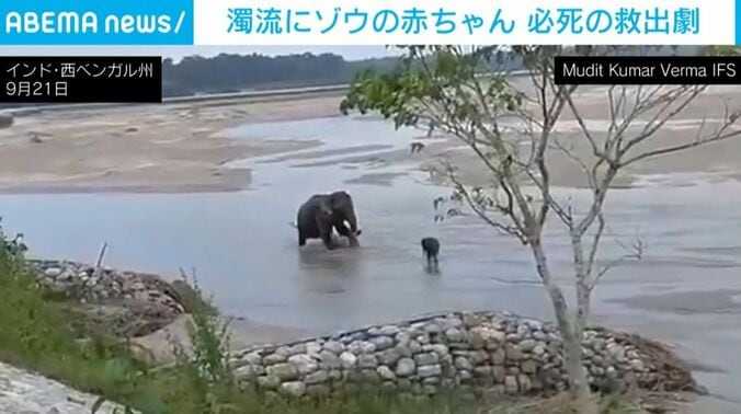 インド