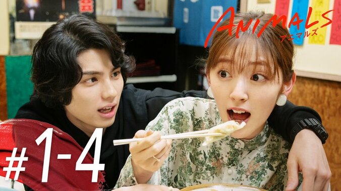 ANIMALS-アニマルズ- - ダイジェスト - 15分でおいつける！#1-4ダイジェスト (ドラマ) | 無料動画・見逃し配信を見るなら | ABEMA