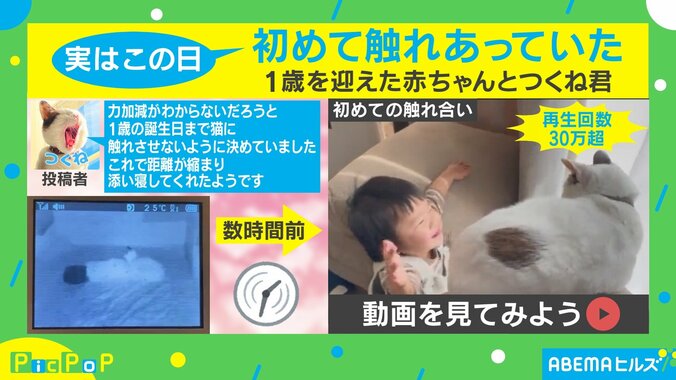 一緒に寝るニャ 赤ちゃんに寄り添う猫の姿が“尊い”と話題 投稿主「この日初めて触れ合った」 2枚目